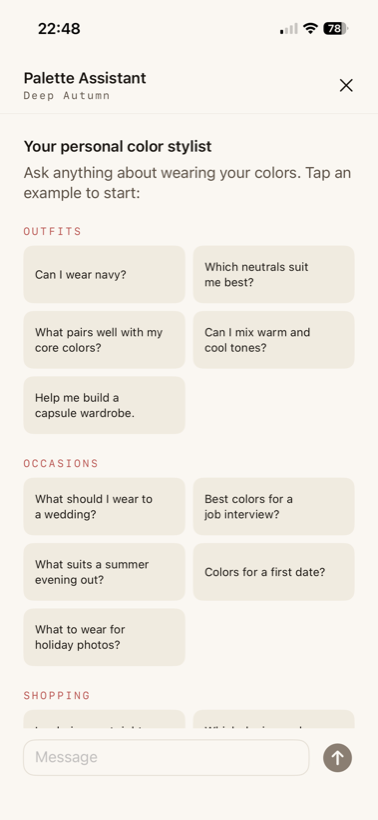 AI palette stylist chat